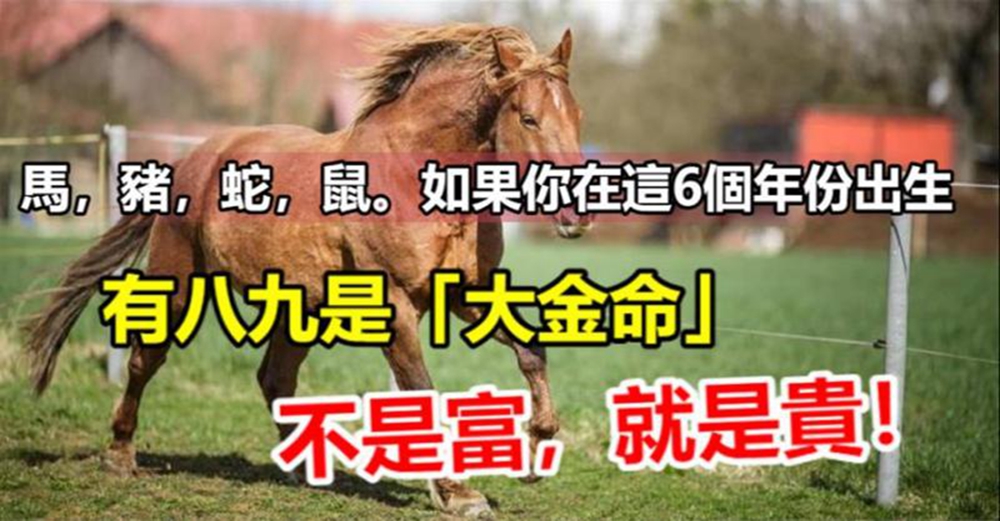 馬，豬，蛇，鼠。如果你在這6個年份出生，十有八九是「大金命」不是富，就是貴！