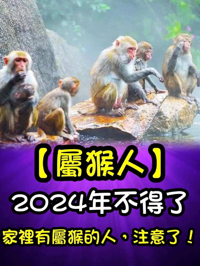 【屬猴人】2024年不得了，家裡有屬猴的人，注意了！