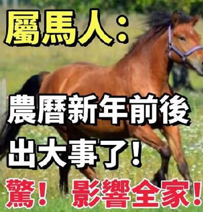 吉星「天德」庇佑！屬馬的人：農歷「新年前後」出大事了！驚！影響全家