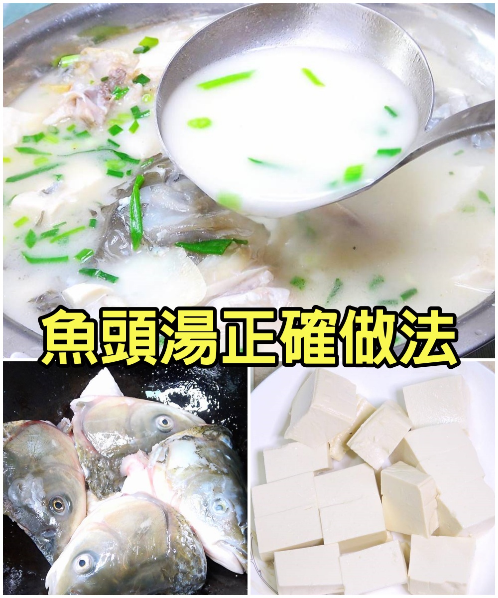 這才是魚頭湯的正確做法，營養好喝無腥味，白如牛奶，全家搶著喝
