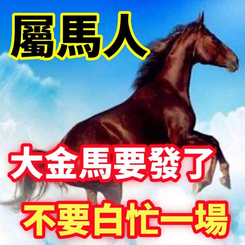 大金馬：注意，明天屬馬人要轉運了 快來了解