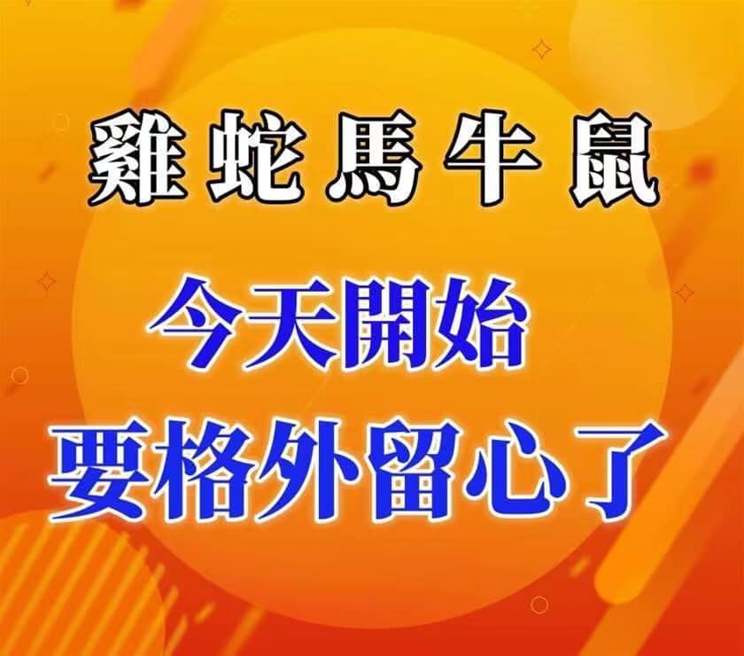 簡直不可思議！蛇雞馬牛鼠！今天開始！要格外小心了！意外之財馬上到！真的準！