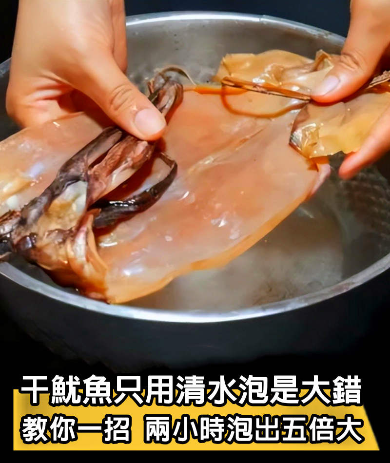 干魷魚只用清水泡是大錯！25年大廚教你一招，兩小時泡出5倍大，又鮮又嫩