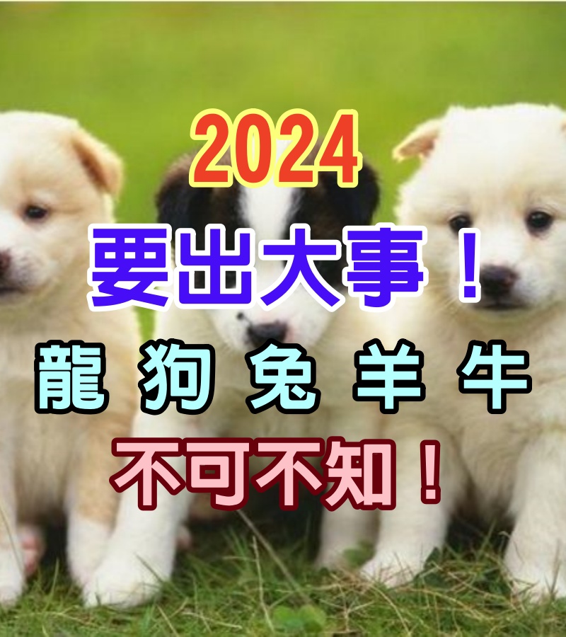 「屬龍、屬狗 、屬兔、屬羊、屬牛」2024要出大事！龍年「禁忌」不可不知