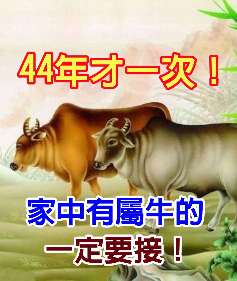 44年才一次！如果你最愛的人屬牛，或家中有屬牛的，一定要接！