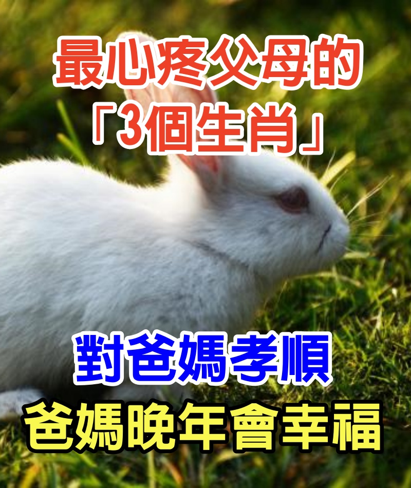 最心疼父母的「3個生肖」！孝順不啃老，對爸媽關懷備至：有他們晚年會很幸福！