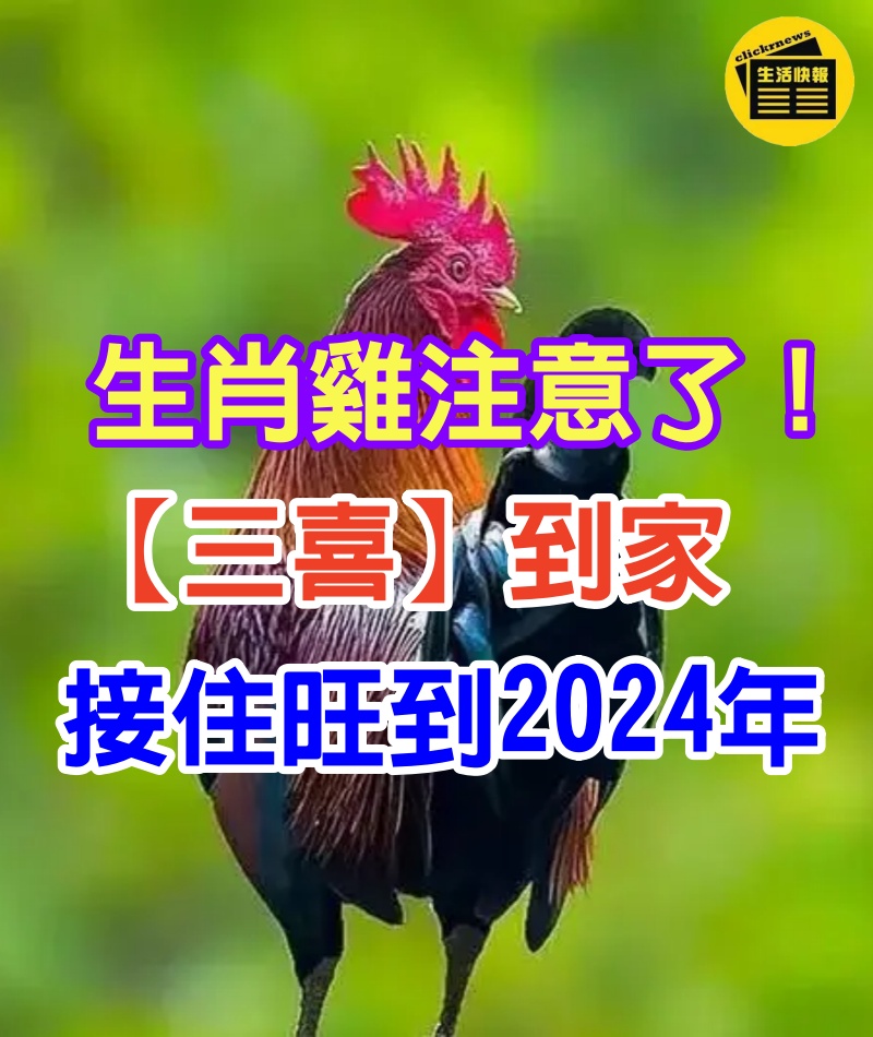 生肖雞！2024年有三大喜事！屬雞人將被大喜纏身！家裡有屬相雞的快來接喜！接住正財橫財一起來！