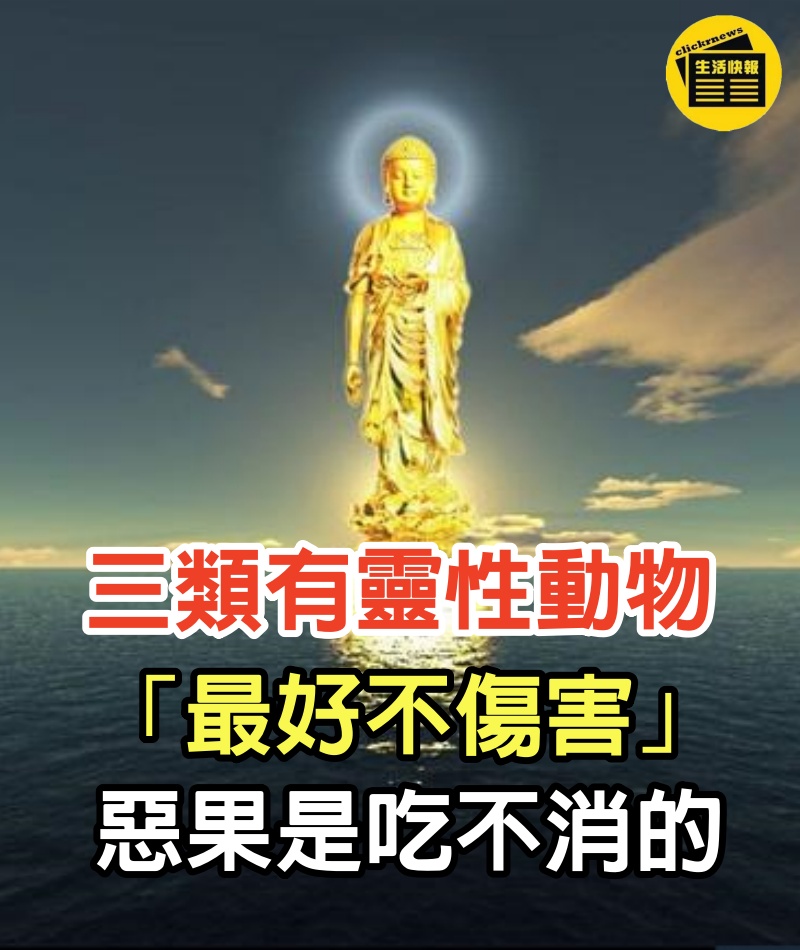 因果不饒人！老僧人提醒：3類有「靈性」動物 「最好不傷害」　惡果我們是吃不消的