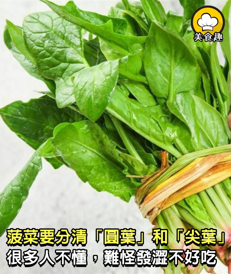 買菠菜，要分清「圓葉」和「尖葉」，很多人不懂，難怪發澀不好吃