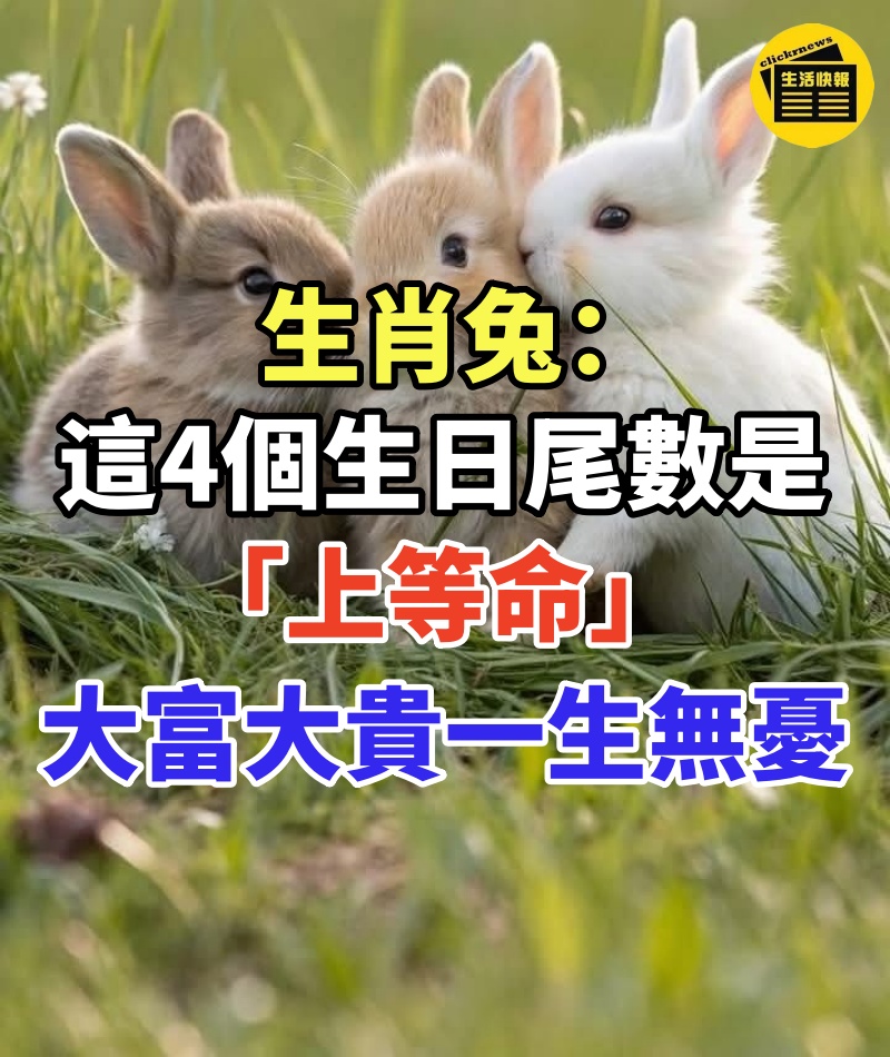 生肖兔:這4個生日尾數是「上等命」,大富大貴,一生無憂!