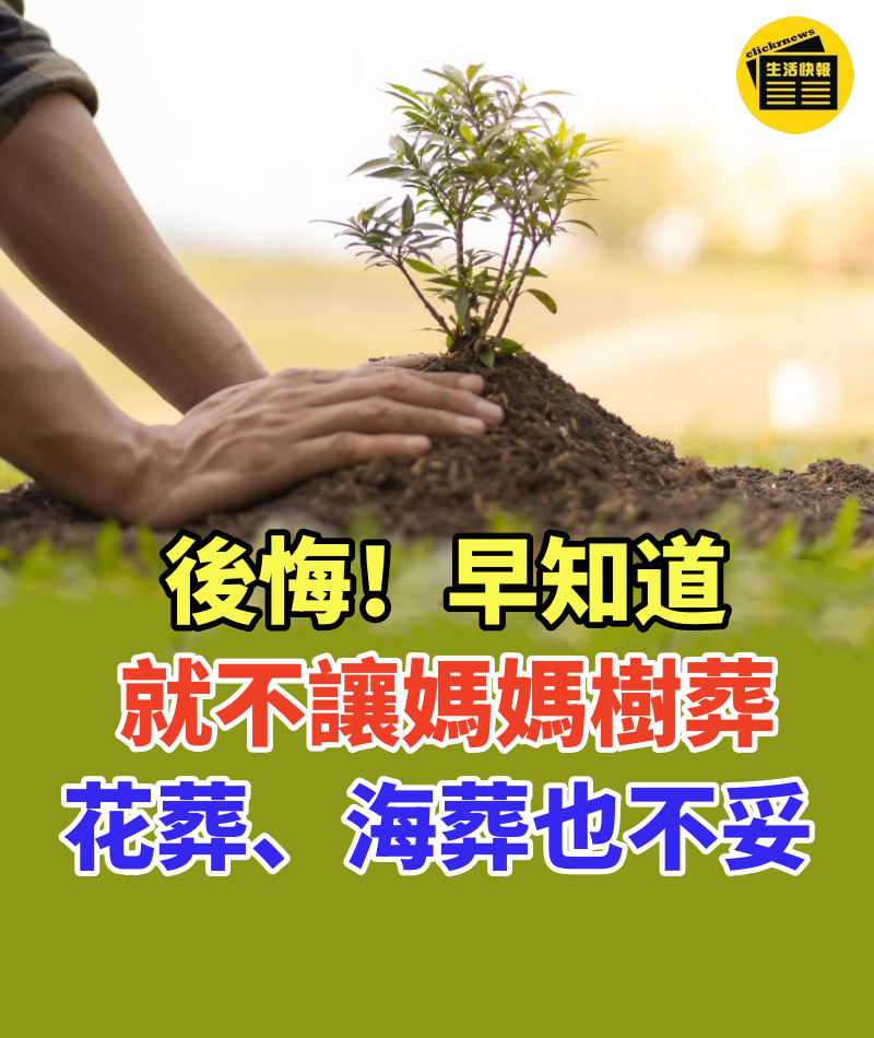 後悔!早知道就不讓媽媽樹葬!花葬、海葬也不妥!通靈人客觀揭露真相!勿把環保葬想得太浪漫!