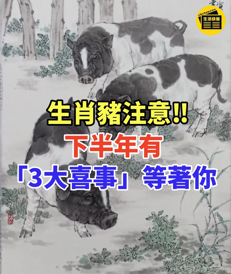 生肖豬注意‼ 下半年有「3大喜事」等著你 #快來接回家