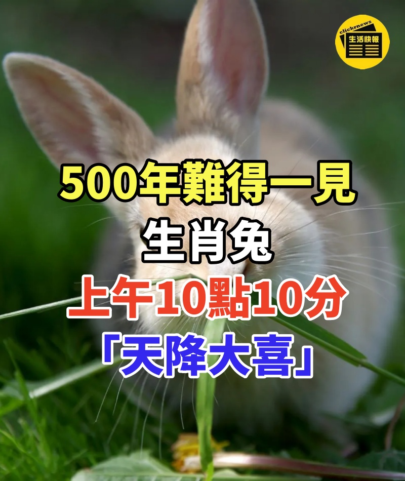 500年難得一見!生肖兔:上午10點10分「天降大喜」,不接不喜