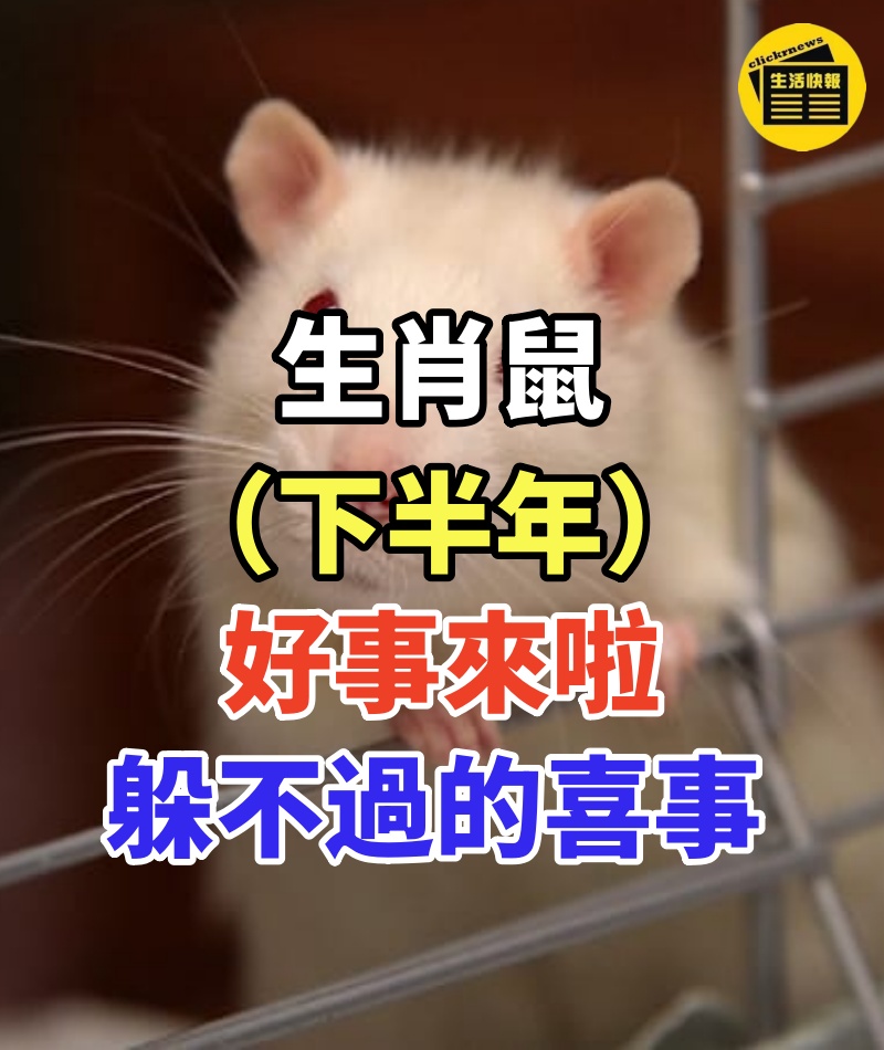 生肖鼠:紙包不住火,好事來啦!(下半年)有躲不過的「喜事」!