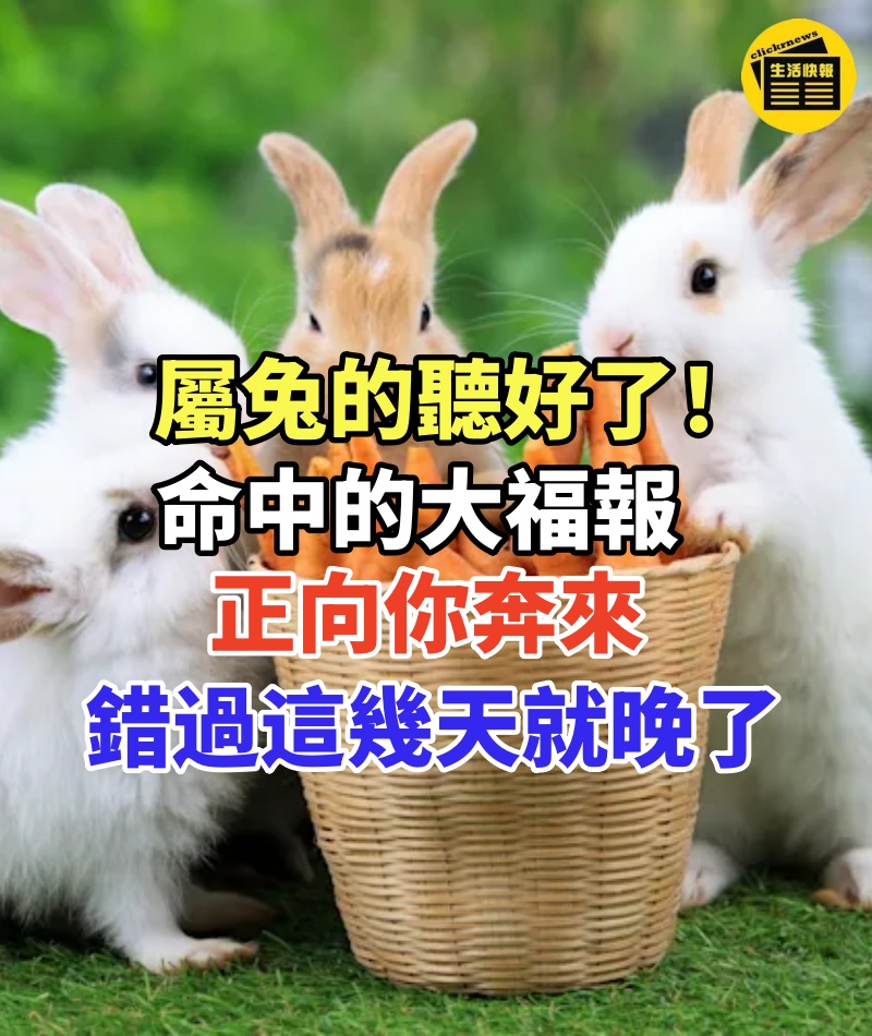 屬兔的聽好了!命中的大福報正向你奔來,錯過這幾天就晚了! # 一樓查看完整內文