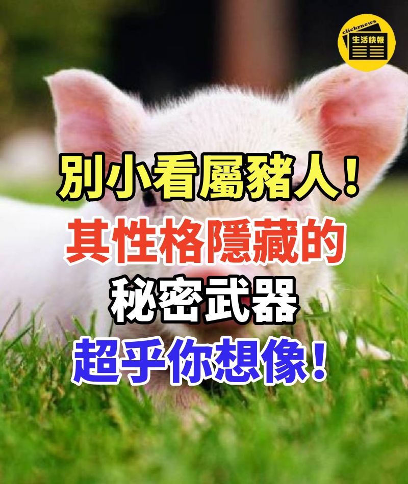 別小看屬豬人!其性格隱藏的秘密武器,超乎你想像!