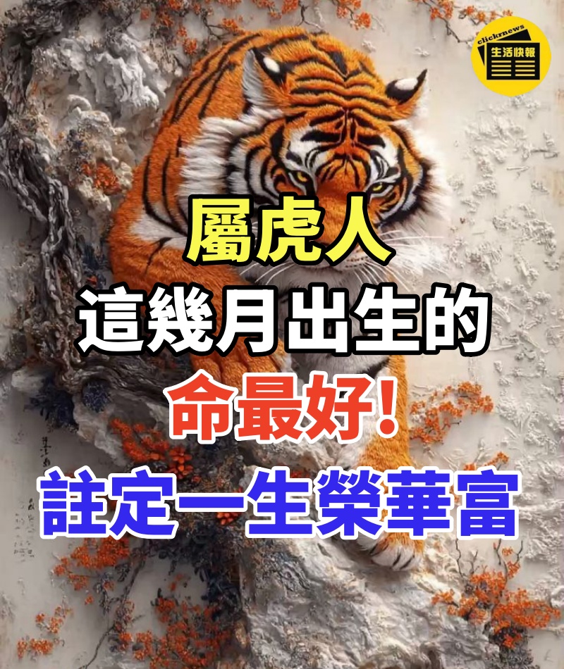 屬虎人:這幾月出生的命最好,註定一生榮華富!再不接就晚了