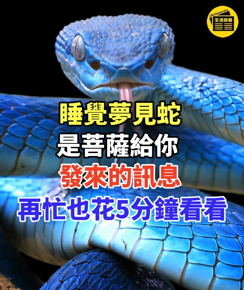 睡覺夢見蛇,竟是菩薩特地給你發來的訊息,再忙也花5分鐘看看