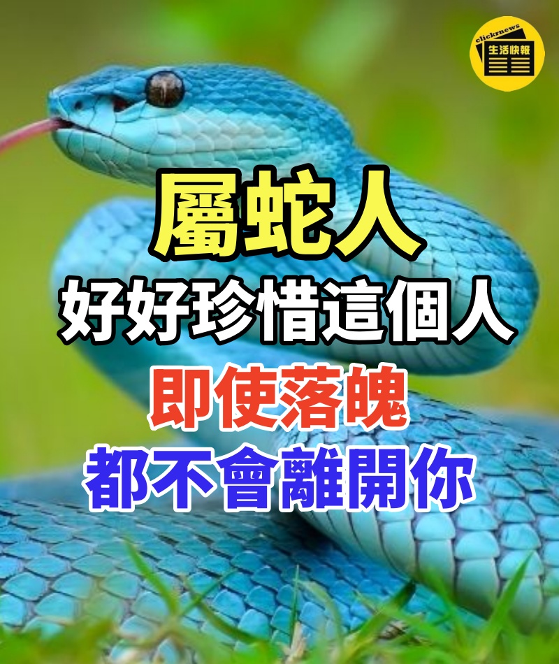 屬蛇人:好好珍惜這個人,即使落魄都不會離開你!