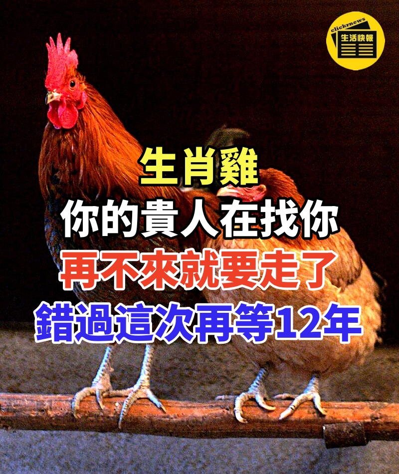 生肖雞,你的貴人在找你,再不來,他就要走了!錯過這次再等12年!