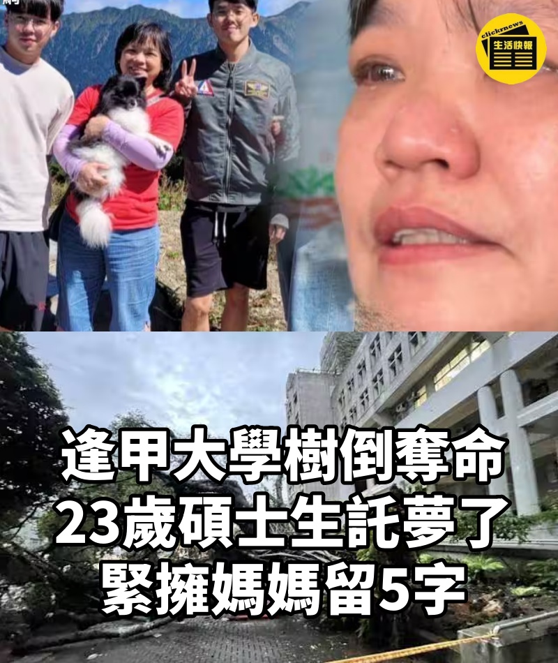 逢甲大學樹倒奪命!23歲碩士生託夢了,緊擁媽媽留5字