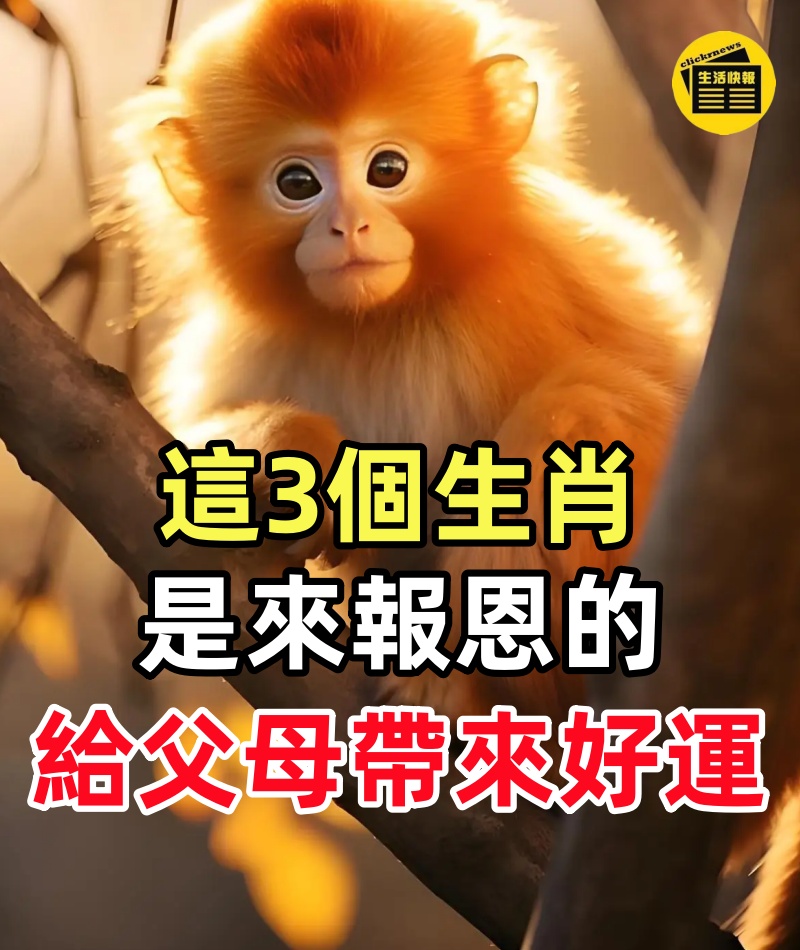 這3個生肖的孩子,這輩子就是來報恩的,給父母帶來好運,長大出人頭地