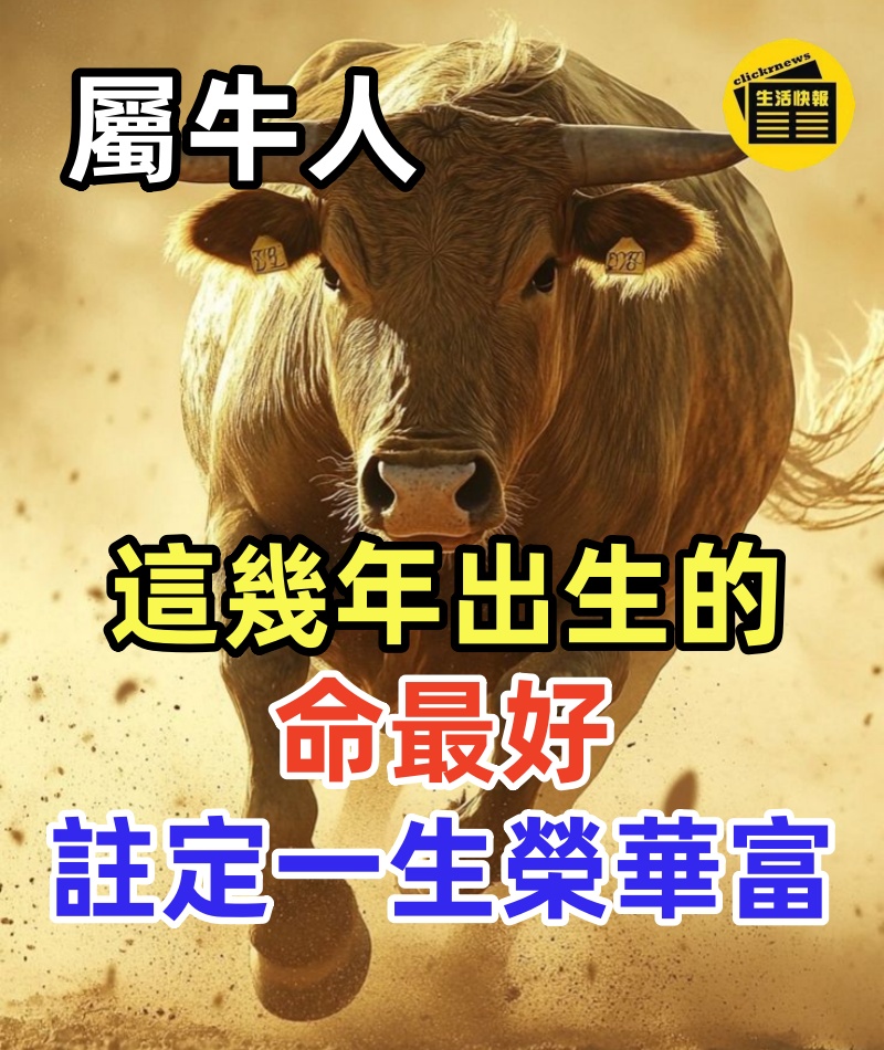 屬牛人:這幾年出生的命最好 ,註定一生榮華富,再不接就晚了~