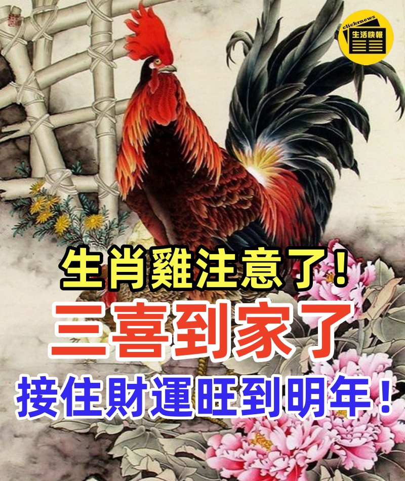 生肖雞注意了!三喜到家了,接住財運旺到明年!