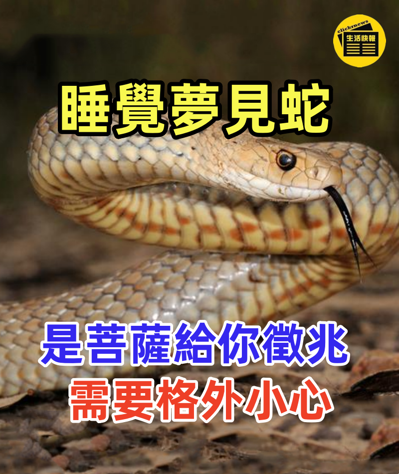 睡覺夢見蛇,竟是菩薩特地給你發來的訊息,再忙也花5分鐘看看~