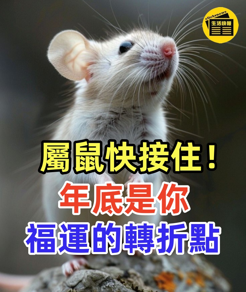 生肖屬鼠要注意:年底是你福運的轉折點!快接住
