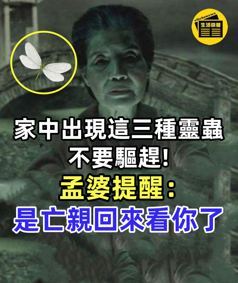 家中出現這三種靈蟲,不要驅趕,孟婆提醒:是亡親回來看你了