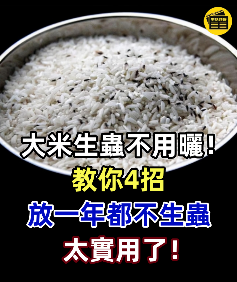 大米生蟲不用曬！米店老闆教我4招，大米放一年都不生蟲，太實用了